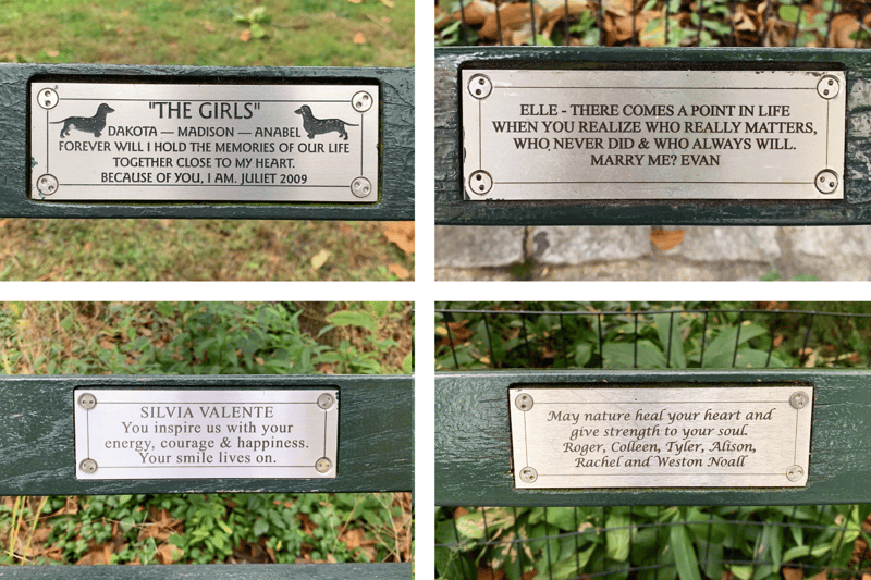 Benches Of Central Park preview 9